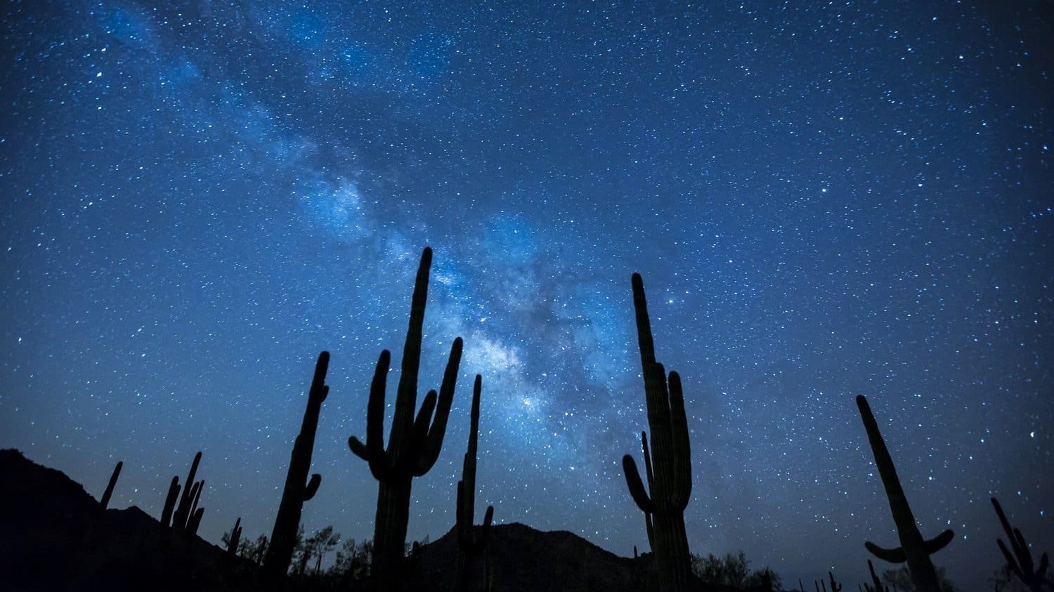 happy-trails-rental-astronomy-cactus-dark