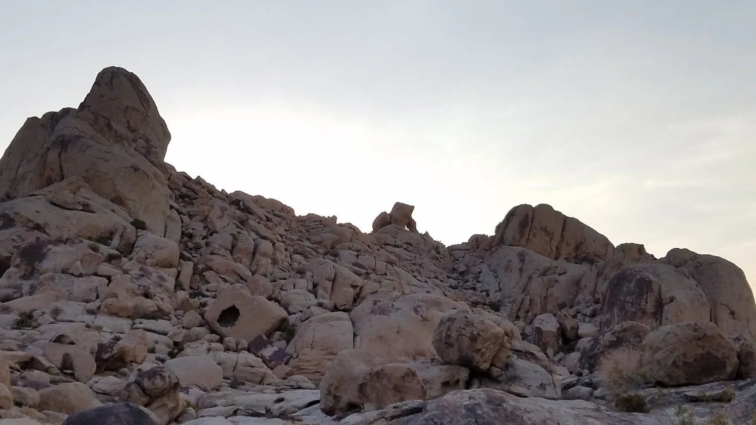 happy-trails-rental-bull-frog-rock