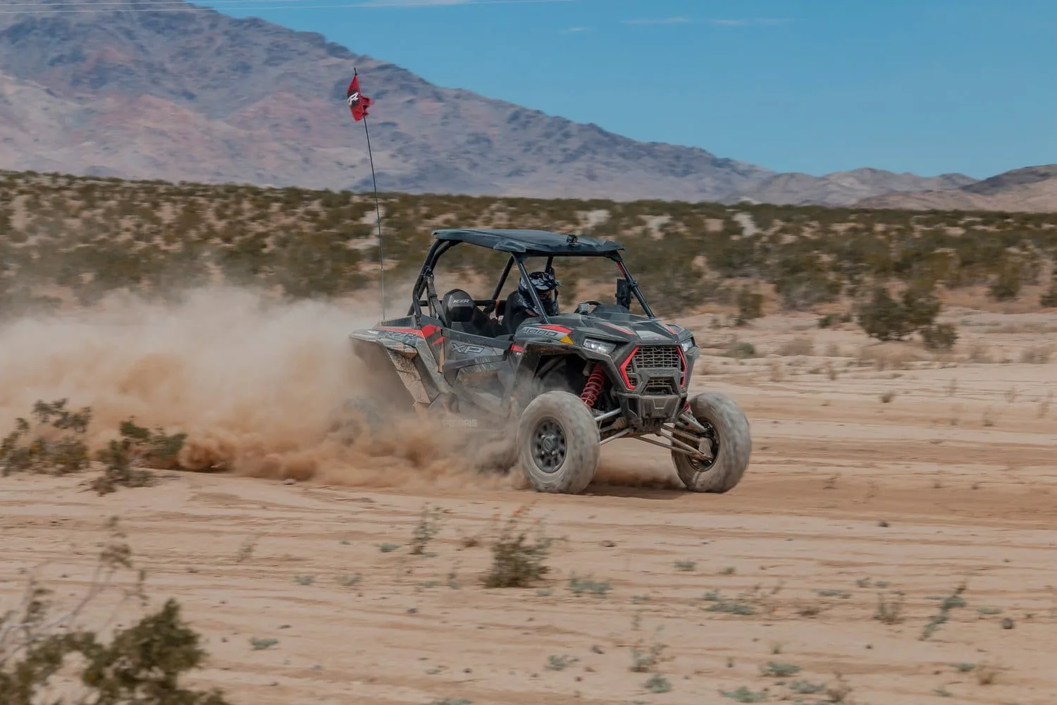rent a rzr johnson valley california