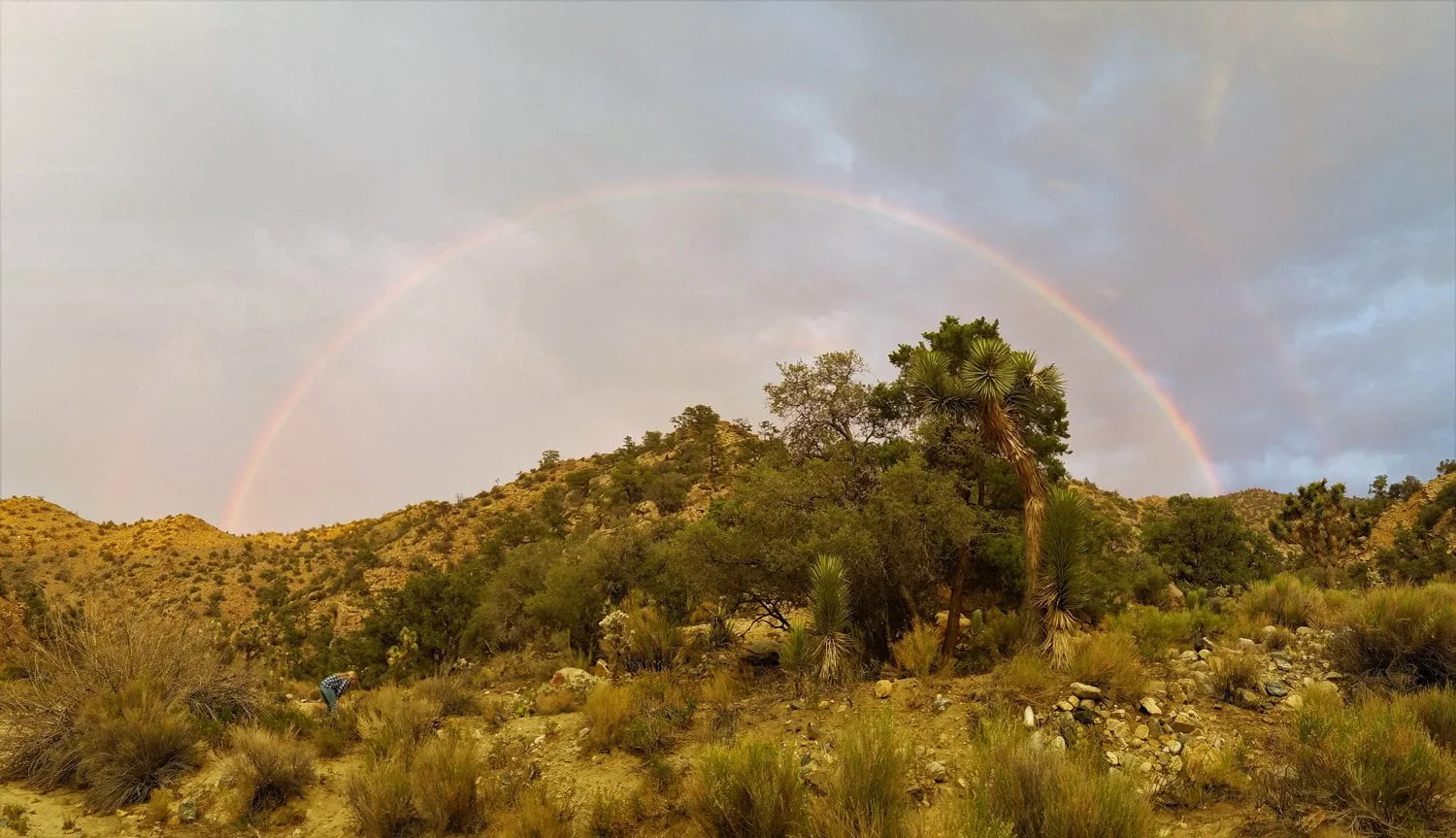 happy-trails-rental-rainbow