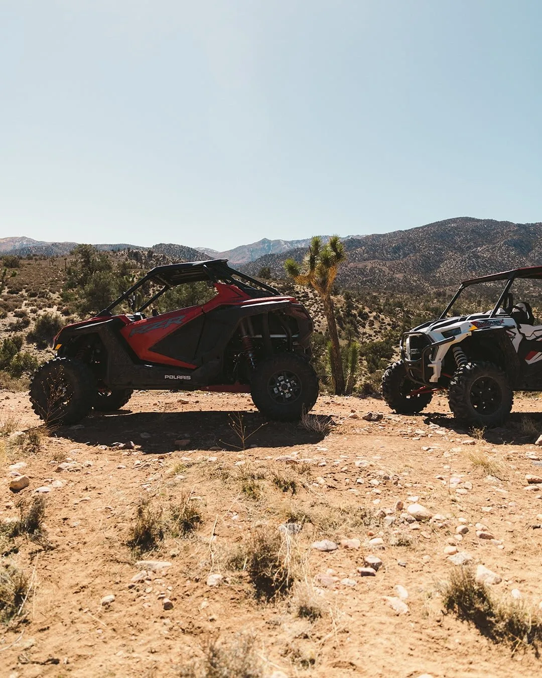 polaris side by side rentals california