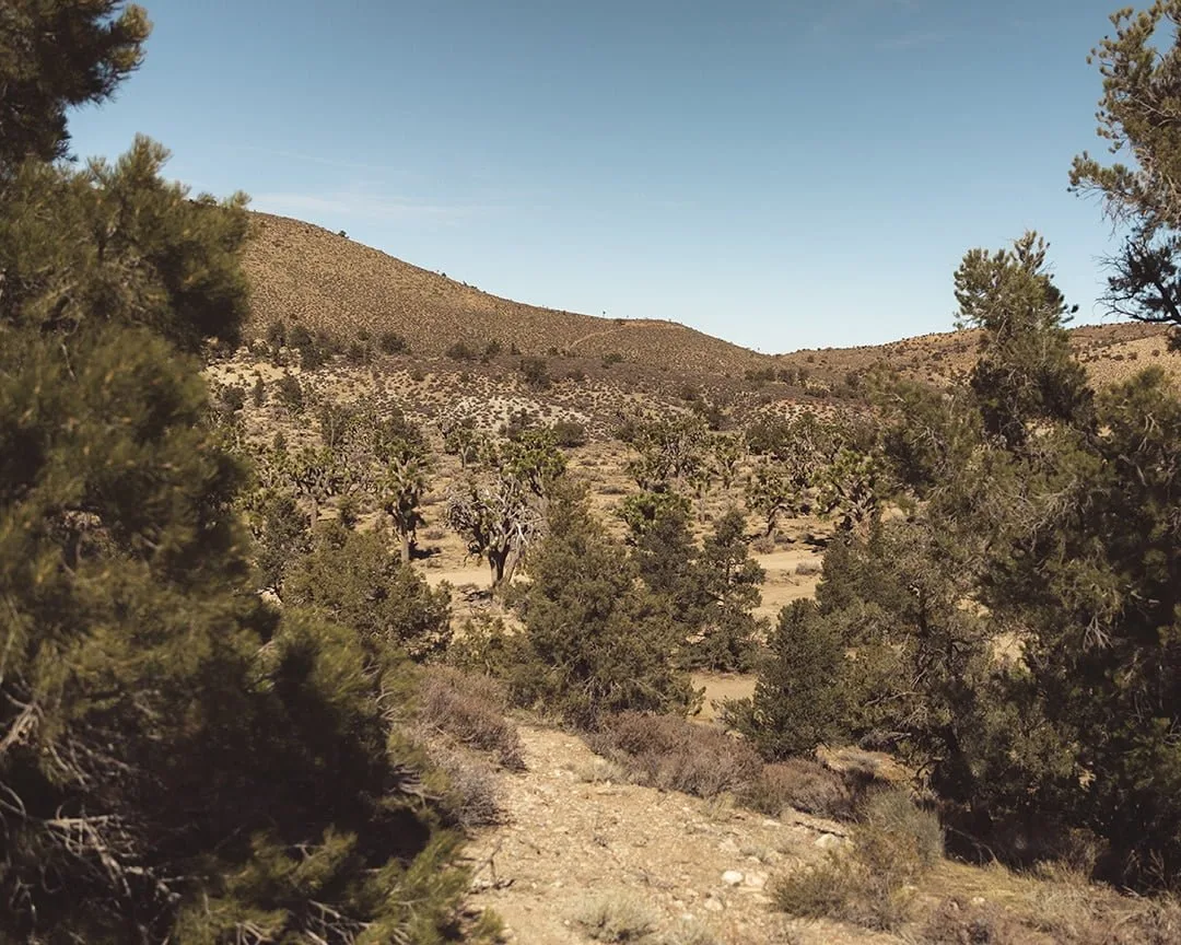 atv trails in rattlesnake canyon california