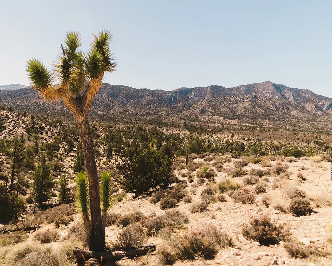 rattlesnake canyon trail california offroading