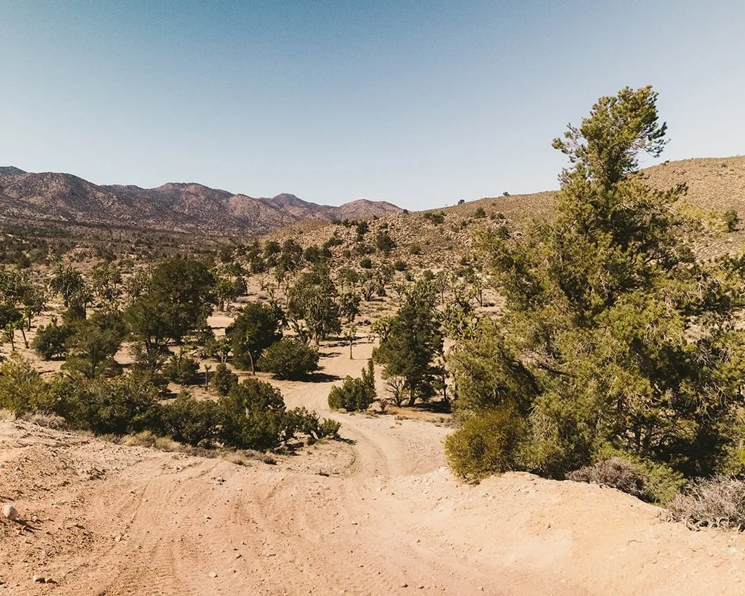 Rattlesnake Canyon Trail Scenery