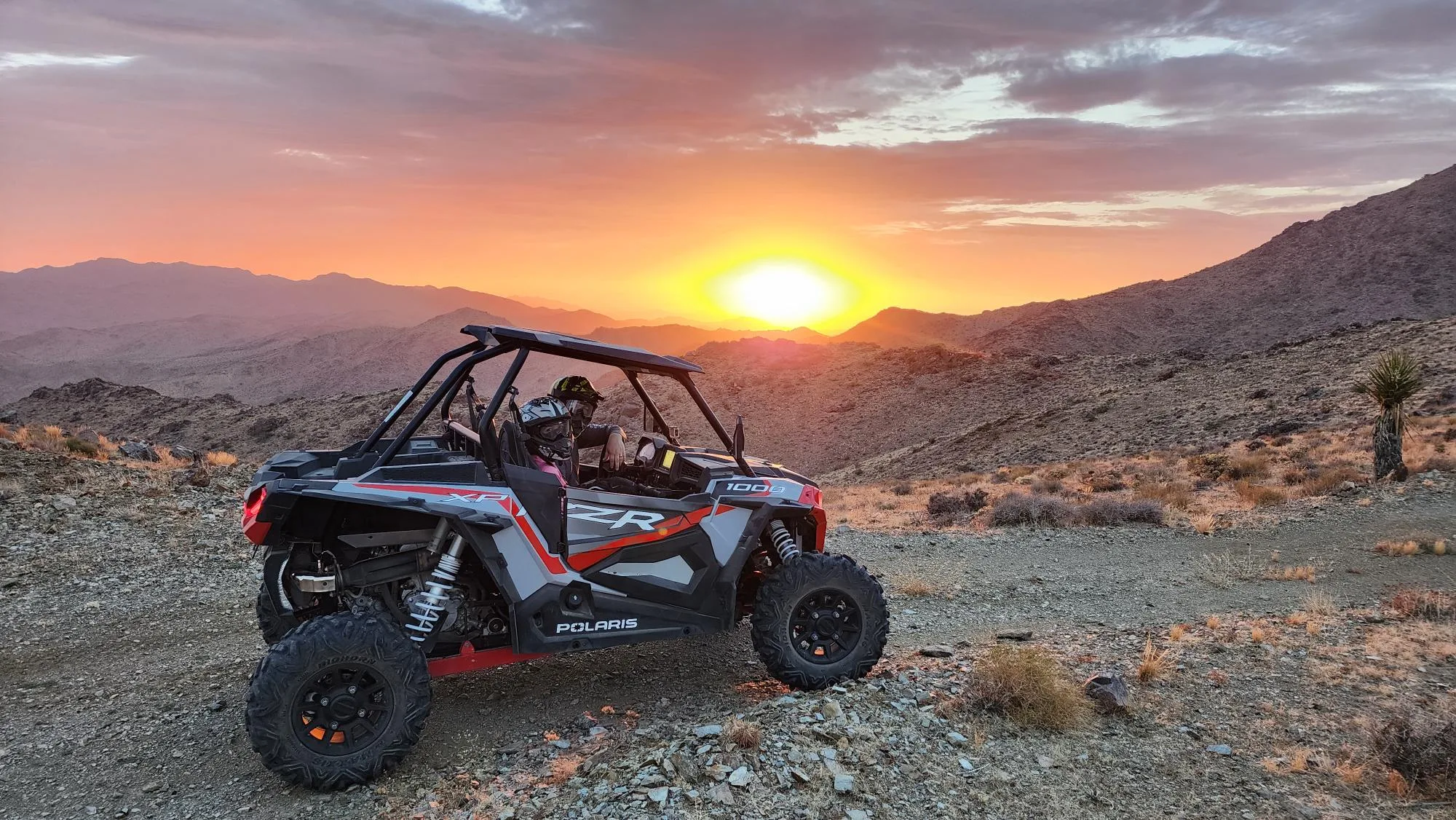 king cougar trail rzr rentals